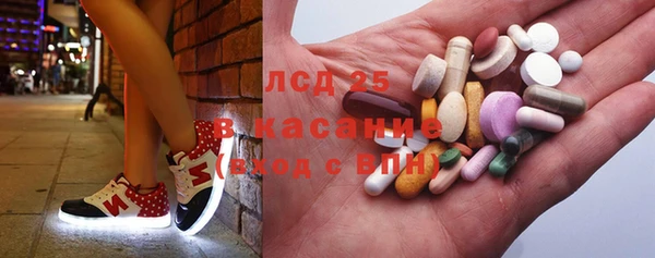 прущие грибы Корсаков