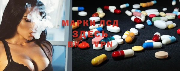 прущие грибы Корсаков