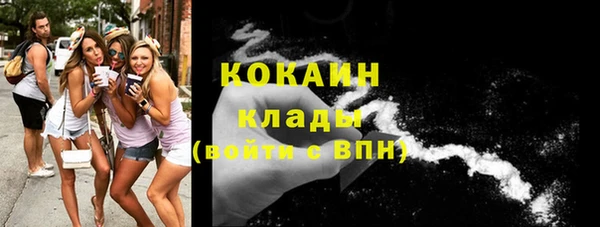 прущие грибы Корсаков