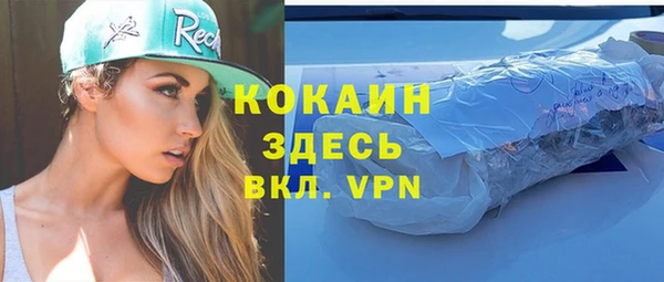 прущие грибы Корсаков
