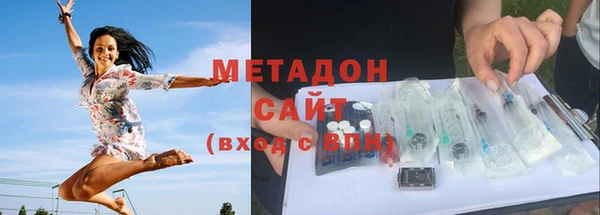 прущие грибы Корсаков