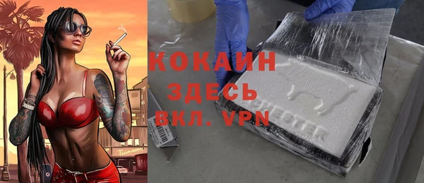 прущие грибы Корсаков