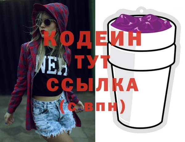 прущие грибы Корсаков